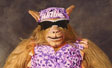 Wildcat Willie WCW Mascot Costume