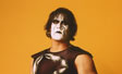Wrestler Sting