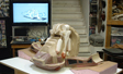 T4 roller coaster front car elements in process