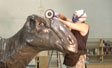 Polishing bronze coating on mother dinosaur for Fernbank  Natural History museum Atlanta, GA front plaza fountain project.