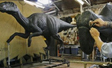 Sculpture on dinosaurs for Fernbank  Natural History museum Atlanta, GA front plaza fountain project.