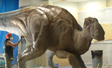 Large scale application bronze on fiberglass dinosaur