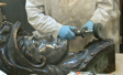 High speed polish of multi color metal coated fiberglass head.